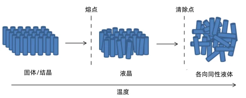 10001-转换自-png.webp 10001-转换自-png.webp
