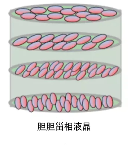 10004-转换自-png.webp 10004-转换自-png.webp